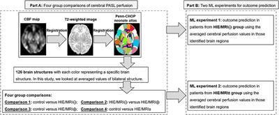 Cerebral Pulsed Arterial Spin Labeling Perfusion Weighted Imaging Predicts Language and Motor Outcomes in Neonatal Hypoxic-Ischemic Encephalopathy